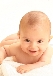 LES B&Eacute;B&Eacute;S DU WEB