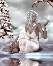 avatar default membre