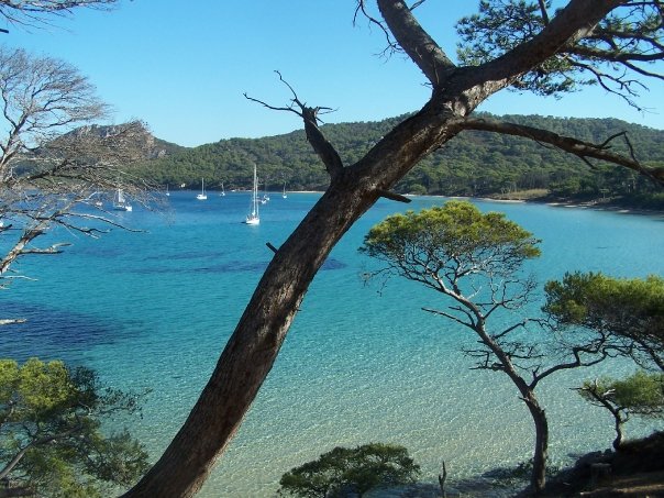 Iles de Porquerolles