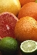 Maladies  hivernales, faut il lui donner des vitamines???
